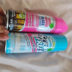 Foaming Glass Cleaner