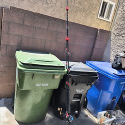 Fishing Rod And Reels And Lures 