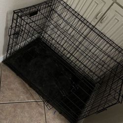 Pet Kennel