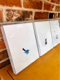 Set of Bird Prints (3)