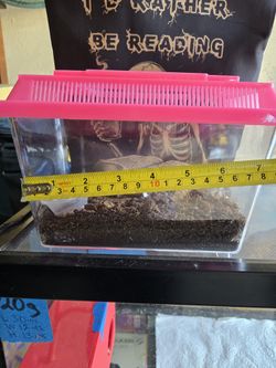 Little terrariums for tiny pets. Take one.
For the price?
On the description or take them All for the price of $36.