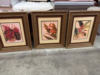 Pictures/wall pictures/pictures of flowers/wood framed pictures