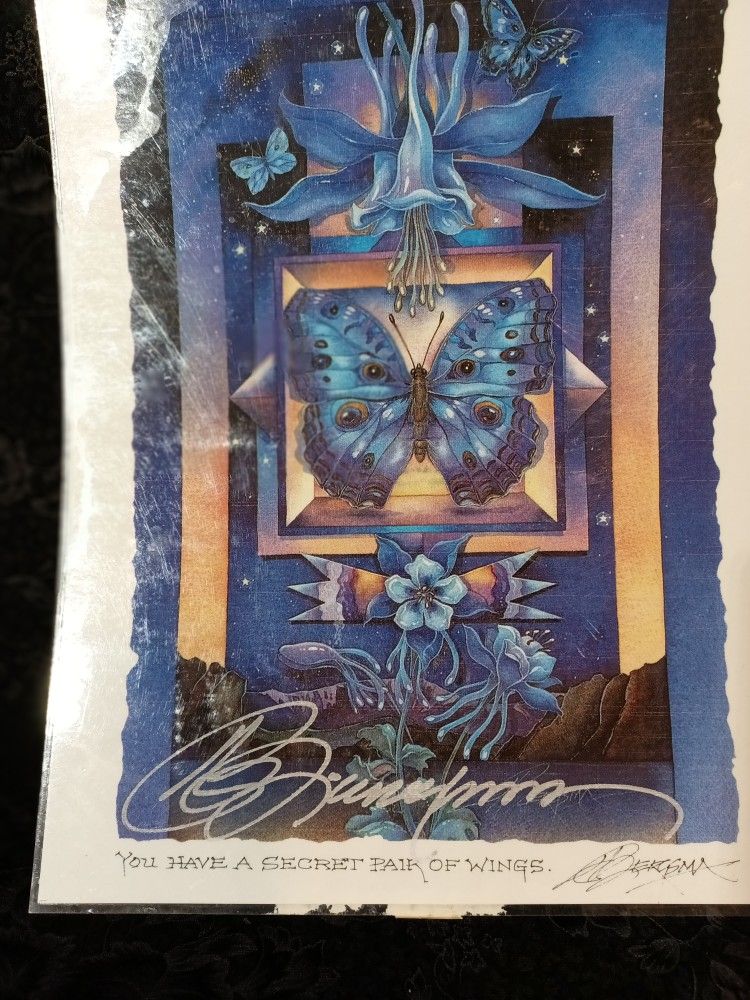 You Have A Secret Pair Of Wings "Bergsma"