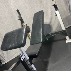 WORKOUT BENCH 