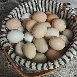 Farm Free range Eggs 