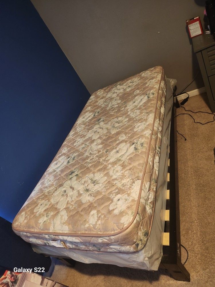 Twin Mattress,box Spring And Frame