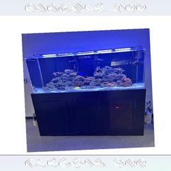 election company Top-Grade Aquarium Setup - Premium Quality Standard
