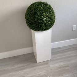 Modern plant