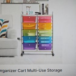 15 Drawer Rolling Organizer Cart