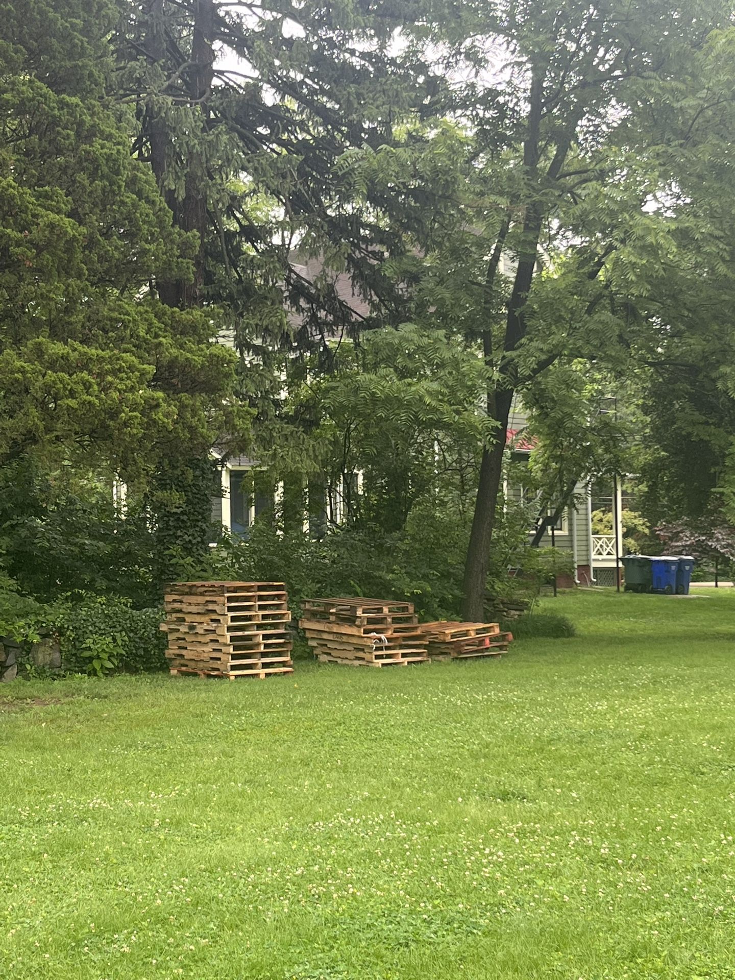 Pallets - Free 