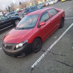 2010 Toyota Corolla