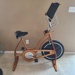 1979 Vintage Schwinn Deluxe Exerciser XR6-0