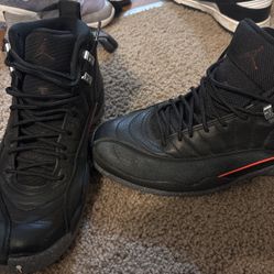 Air Jordan 12 Retro 