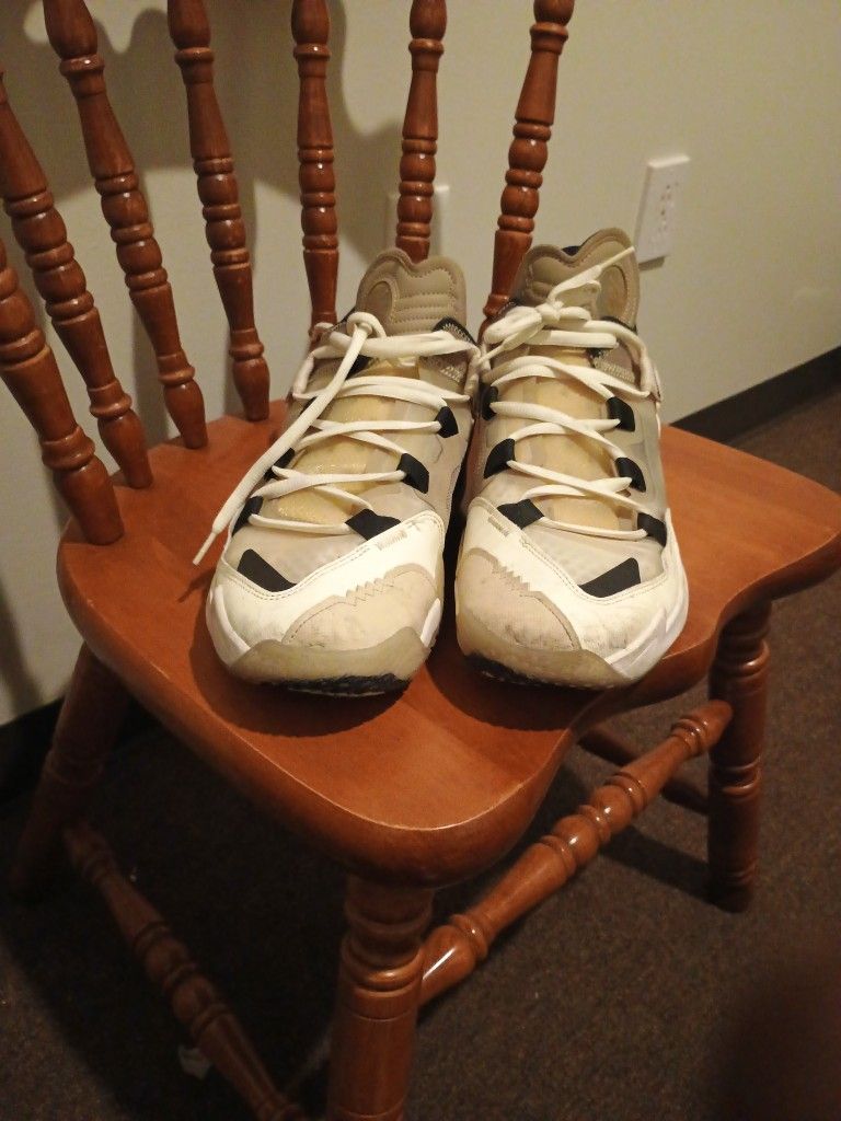 A Pair Of Jays