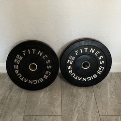 Two 35 Lb Weights 