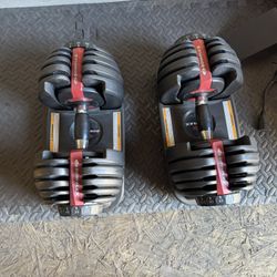 Bowflex SelectTech 552 Dumbbells 