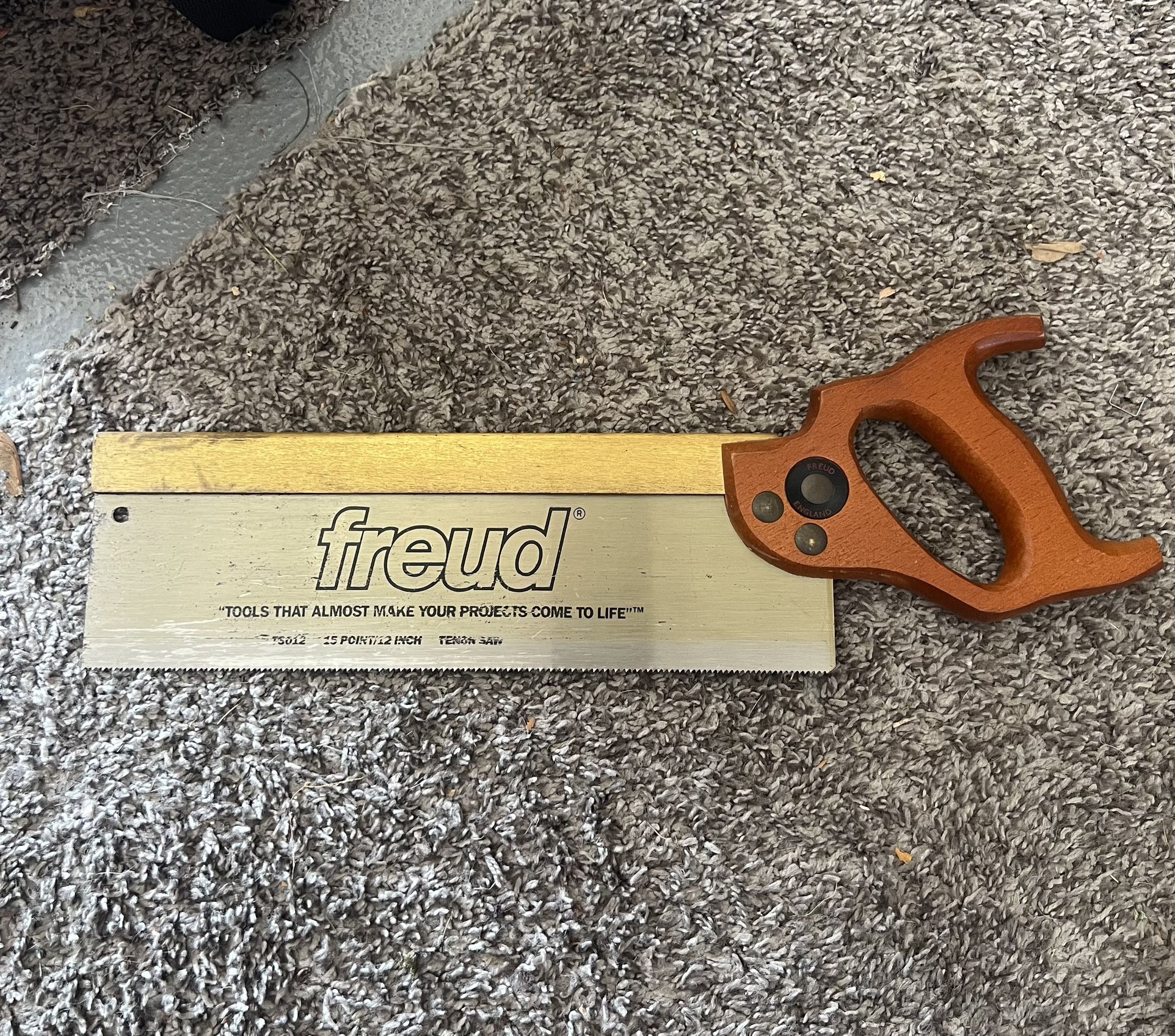 Freud saw