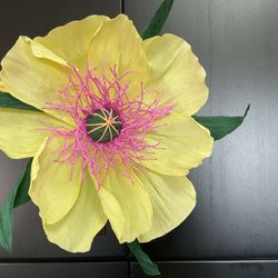 Italian Crepe Paper Flowers, Large Poppies, Great For Wall Or Party Decor