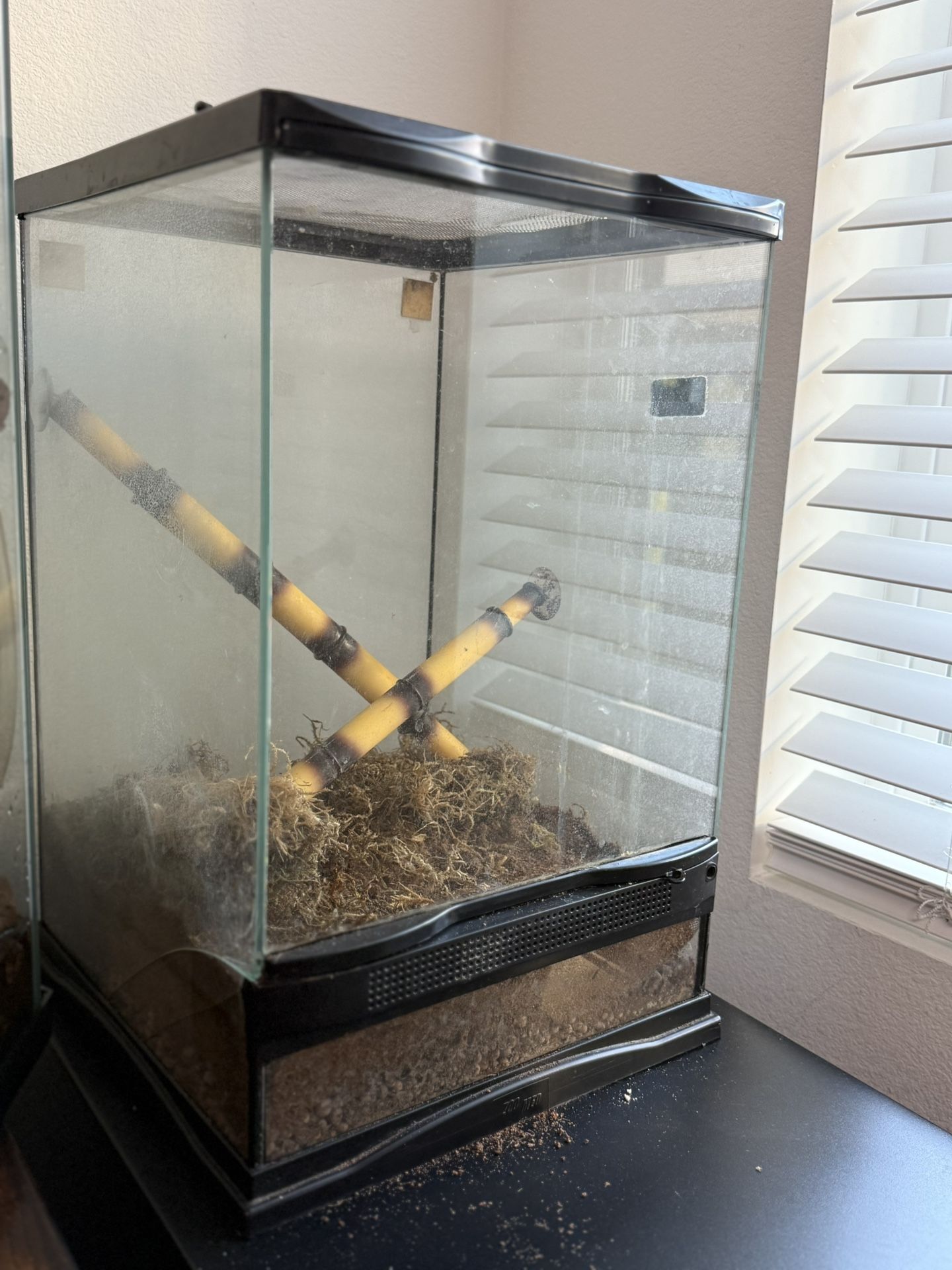 11 Gallon Vertical Terrarium Reptile Zoo Med