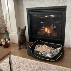 French bulldog, Frenchie, Doesn’t Poop