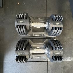 flybird adjustable dumbbells set