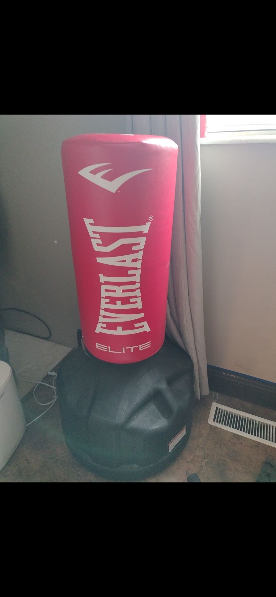 Elite Everlast Punching Bag