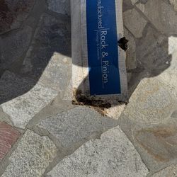 Remanufacted Rack & Pinion  Foreign Domestic