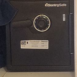 Sentry safe
