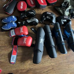 MMA, Boxing, Muay Thai 