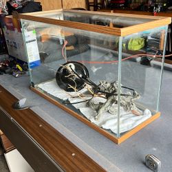 Lizard tank or fish tank