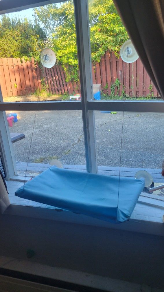 Bed For A Cat On The Window