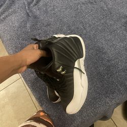 Jordan 12 