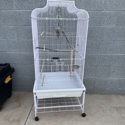 Bird Cage