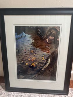 Framed Artwork