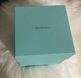 Tiffany & Co Empty Box 