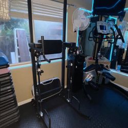 Assisted Dip/Pull-up Abs Station