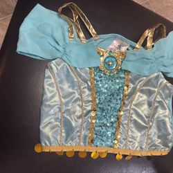 5-6 Princess Jasmine 