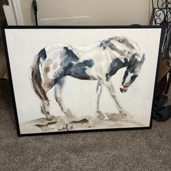 Horse Paint Decoration 