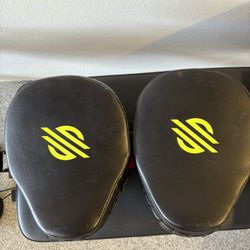 Sanabul Boxing Mitts 