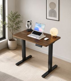 32" Small Electric Standing Desk Adjustable Height, 4 Memory Height Settings, Sit Stand Up Desk for Home Office & Computer Workstation, Black Walnut