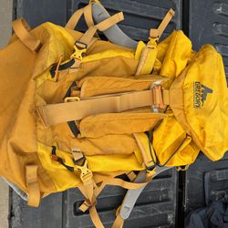 2 like new, Gregory and Kelty Hiking pack and like new Dakine Hip pack