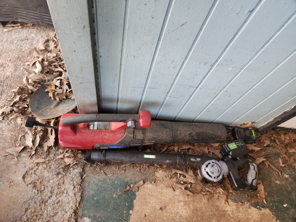 2 Leaf Blowers