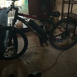 Custom E-bike 