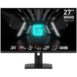 MSI Gaming Monitor 