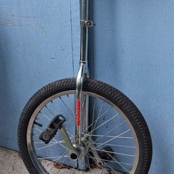 Unicycle