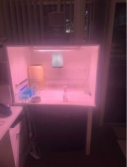 Laminar flow good cabinet lab
