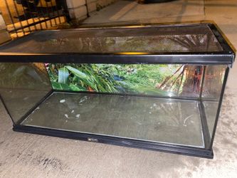 lizard tank 20 gallon