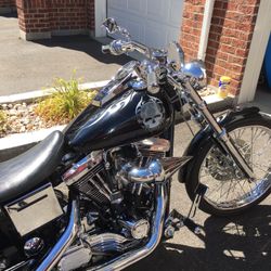 2000 custom Evo Harley Davidson