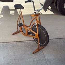 Schiwnn Exerciser Workout Bike 