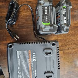Flex Batteries and Charger